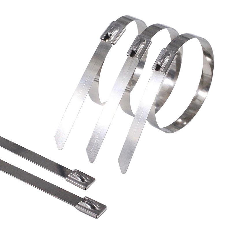 Stainless Steel Cable Ties